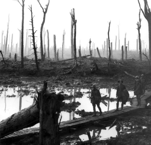 Chateau_Wood_Ypres_1917