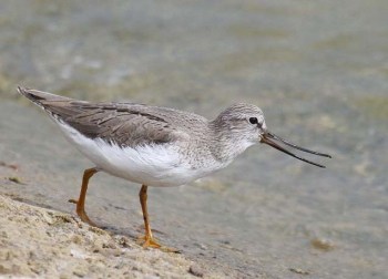 another terekxxxxxxxxxxxxxxxx