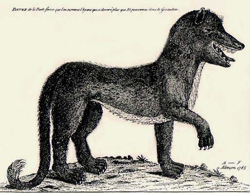French Monsters : the solution | John Knifton