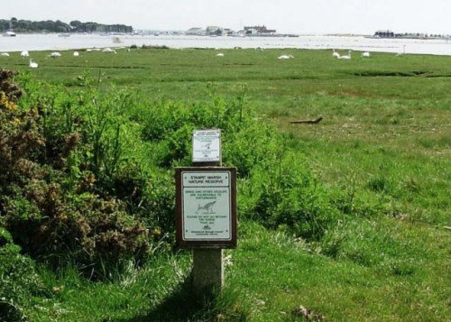 MARSH  vvvvvvvvvvvvvvvvvvv