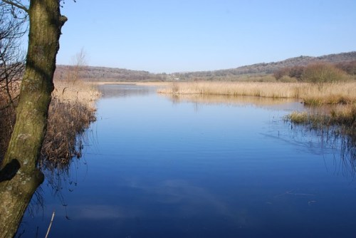Leighton0Moss
