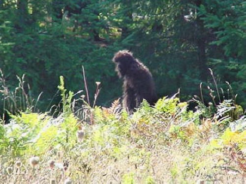 db_Bigfoot43_1xxxxxxxxxxxxxxxxxxxxxxxxx