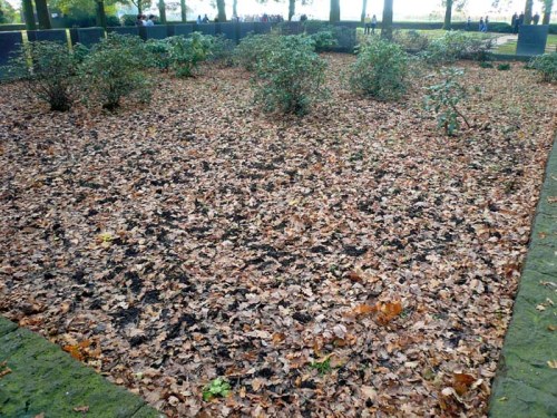 P1090541 zzzzzzzzzzz