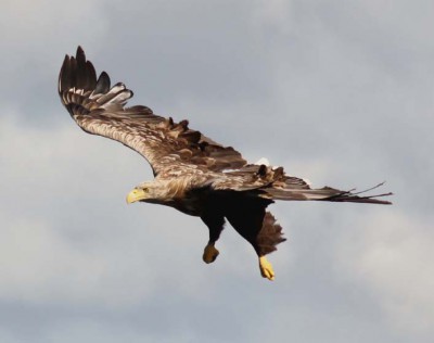 killie-male-26 zzzzzzzz