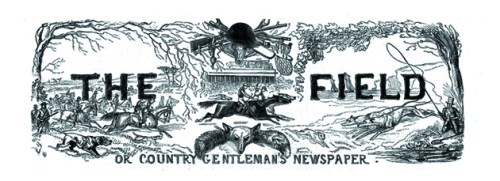 p_1-the-field-top-banner