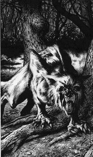 imaginative chaingyu