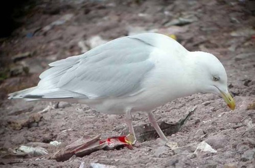 nrlsonxxxxxxxxxxxxxxxxxxxxxxxxxxxx