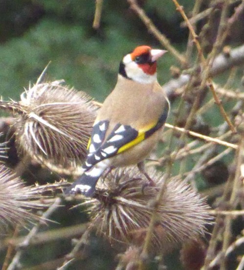 P1010640xxxxxxxxxxxx