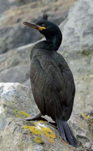 shagbbnn xxxxxxxxxxxxxxxxx