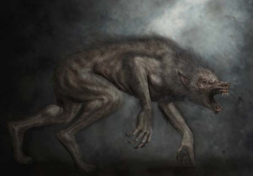 werewolf xxxxxxxxxxxxxxxxvvvvvvvbbbbbbb