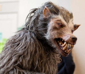werewolf xxxxxxxxxxxxxxxxxxx
