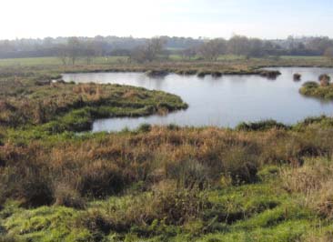 Erewash_Meadows_web