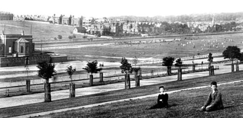 forest and boys zzzzzzzzzzzzzzzzzzzzzzz