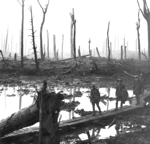 Chateau_Wood_Ypres_1917
