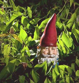 garden-gnome-among-lilies-of-the-valley-no47-randall-nyhof