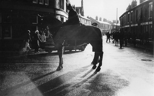 C x police horses - Copy (2)