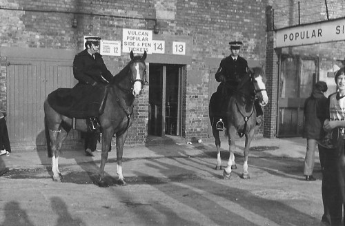 E ur more police horses -photo 3