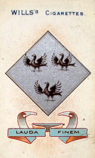 three merles.jpg aaaaaa