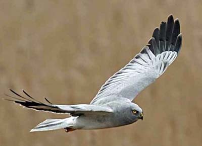 83017_54_news_qqqqqqqqqqqqqqqqqqqqqqqq