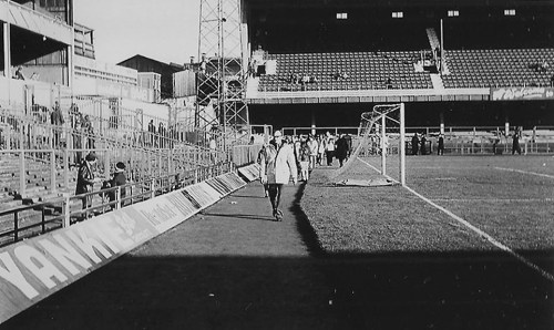 A four more police horses - photo 2