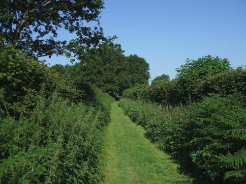 green-lane-narrowing-11xxxxxxxxxxxxx