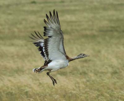 taking offqqqqqqqqqqqqqqqqqqqqqqqqqqqq