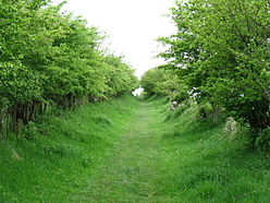 The_Hadrian's_Wall_Path_follows_a_'green_lane