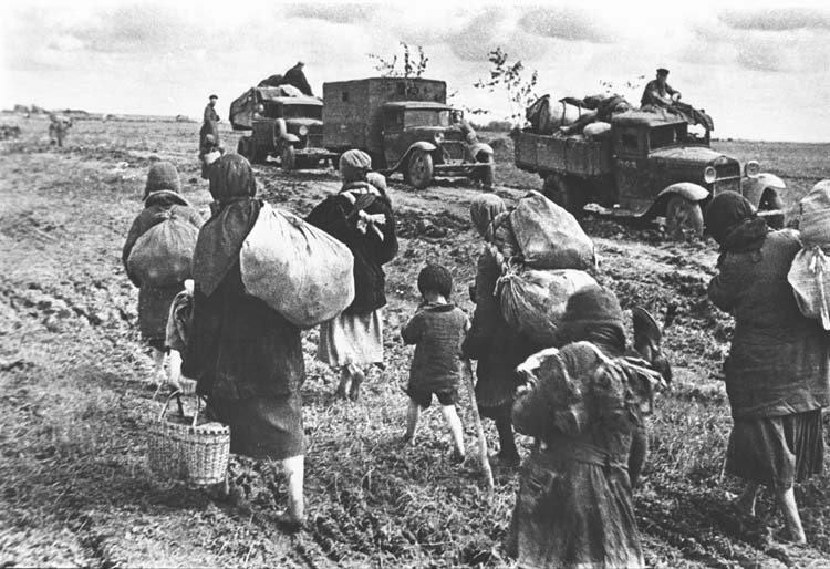 Photographs of the Eastern Front in World War Two (6) | John Knifton
